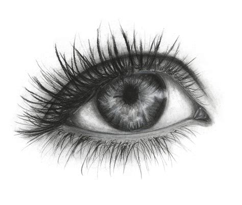 Charcoal Eye Original Charcoal Drawing Etsy Charcoal Drawing Eye