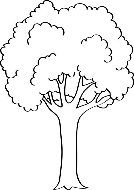 Dibujos De árboles Dibujos De árboles De Otoño Dibujos Fáciles De Hacer