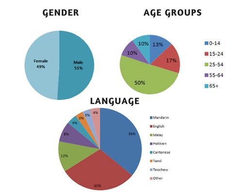 Demographic Of Singapore Craft Driven Research