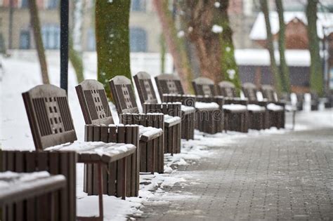Benches Covered With Snow In Winter Park Stock Photo Image Of January