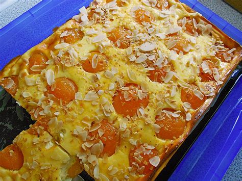 Aprikosen - Quark - Blechkuchen von streuselchen89