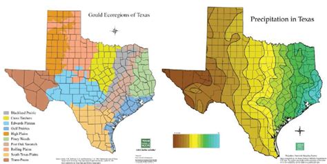 Left Ecoregions Of Texas Gould Et Al 1960 The Cross Timbers