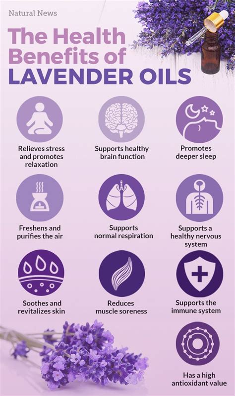 Why Lavender Is The Most Important Essential Oil To Use Right Now Lavender Oil Benefits