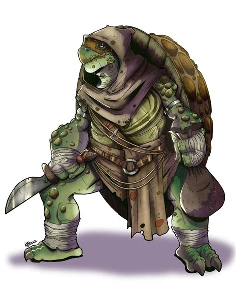 Oc Tortle Rogue Dnd Character Design By Me Plus Group Photo