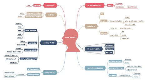 Amazing Mind Map Examples For Students To Get Inspired Edrawmind