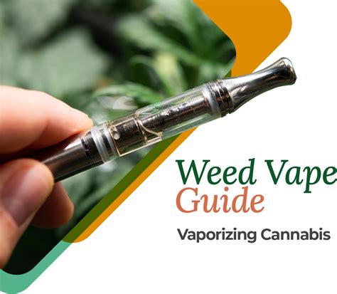 Let's take things from the beginning. Cannabis Weed Vape Guide - Learn About Weed Vapes Just ...