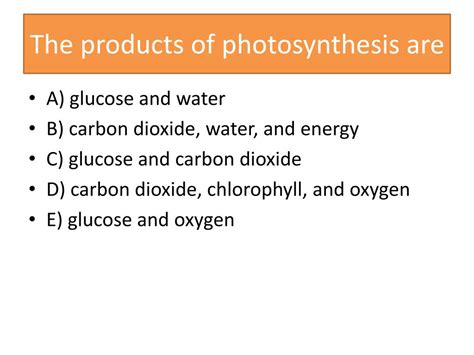 Ppt Photosynthesis Powerpoint Presentation Free Download Id2028834