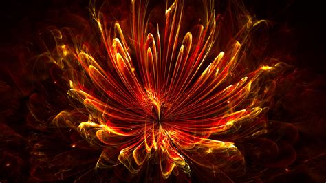 Free Download Fire Flowers Wallpapers Hd 1920x1080 For Your Desktop