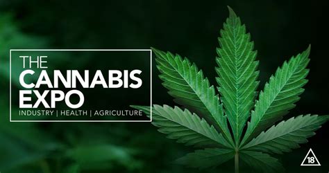 The Cannabis Expo South Africa