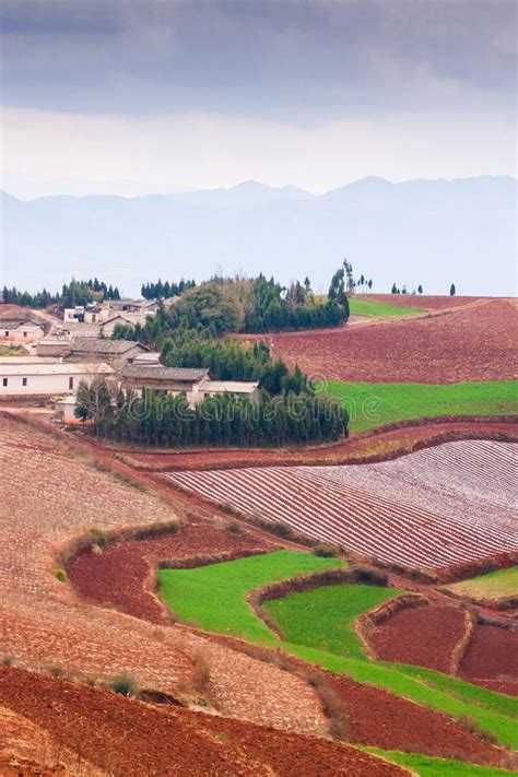 Fantastic Scenery Rural Of South Yunnan China Beautiful Wheat Fields