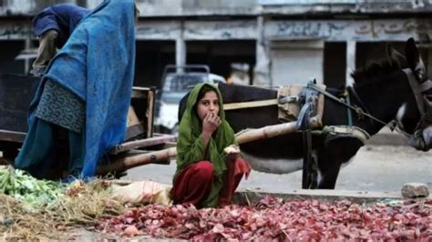 پاکستان میں بڑھتی مہنگائی اور بیروزگاری کیا افغان شہریوں کی واپسی کا باعث بن رہی ہے؟ Bbc News اردو