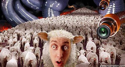 Sheep People Sheeple Know Your Meme