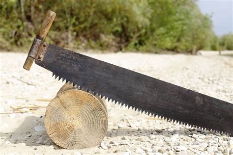 19 Different Types Of Wood Cutting Tools For Every Project