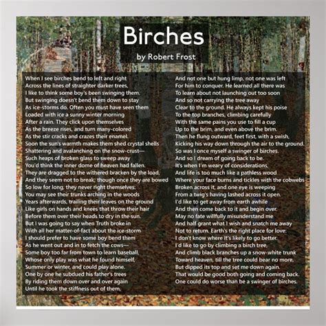 Birches By Robert Frost Complete Poembirkenwald Poster Zazzle