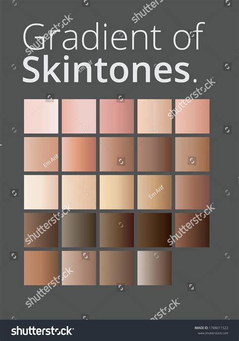 Vector Illustration Human Skin Tone Color Stock Vector Royalty Free