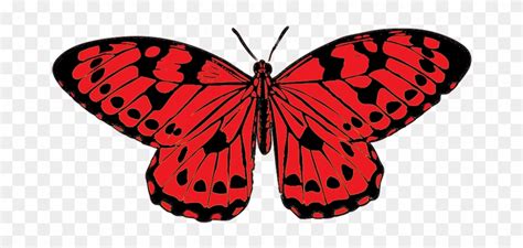 Check spelling or type a new query. Tropical Butterfly Image, Red And Black Butterfly Clipart ...