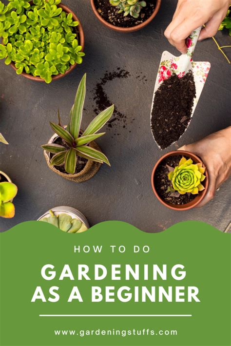 10 Useful Gardening Tips For Beginnersand Tricks