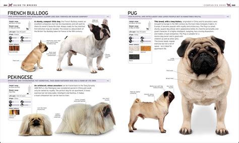 The Complete Dog Breed Book Choose The Perfect Dog For You By Dk