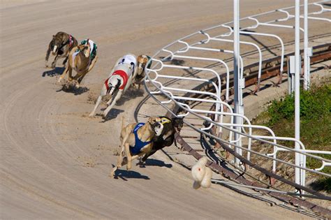 6 Years After Live Racing Ends Tucson Greyhound Park Closing After Off
