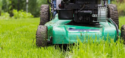 10 Lawn Care Tips To Green Lush Grass Super Green Garden Service