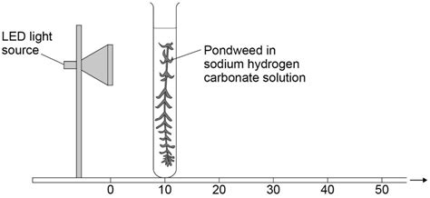 Gcse Biology Required Practical Activity Photosynthesis Diagram Quizlet