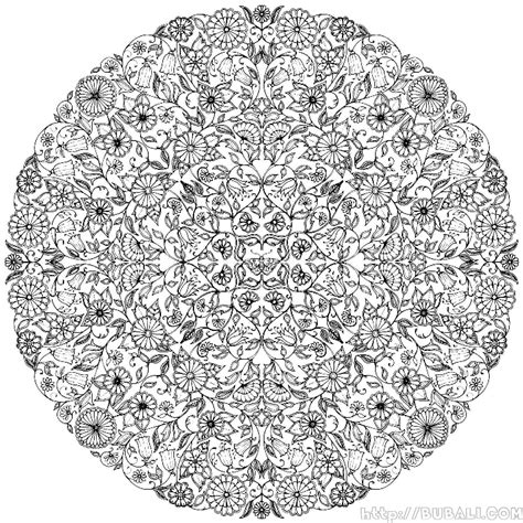 Naturaleza Imagenes De Dibujos Para Colorear Para Adultos Mayores - the