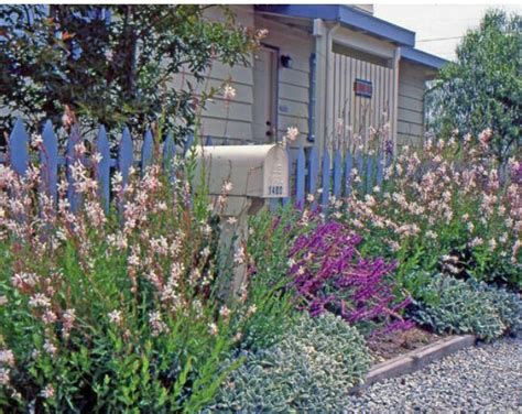 Coastal Plants And Shrubs Cottage Garden Design Cottage Garden