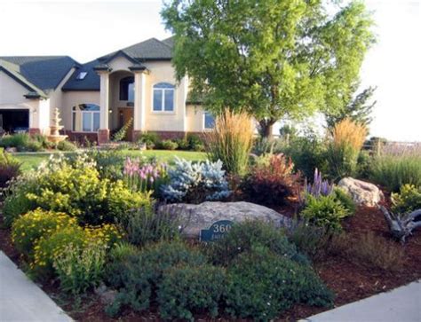 Front Yard Xeriscape
