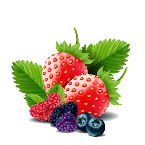 Mixed Berries Illustrations Royalty Free Vector Graphics And Clip Art