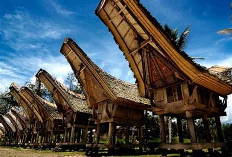 20 Contoh Gambar Gambar Pensil Rumah Adat Toraja