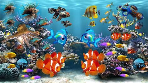 Moving Aquarium Live Fish Hd Wallpaper Pxfuel