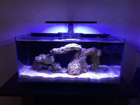 Jbj Rimless 10 Gallon Reef2reef Saltwater And Reef Aquarium Forum