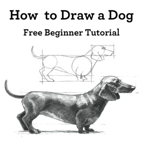 Step 4 just finish up by drawing simple eyes, nose. 30 Ways to Draw Dogs - DIY Projects for Teens