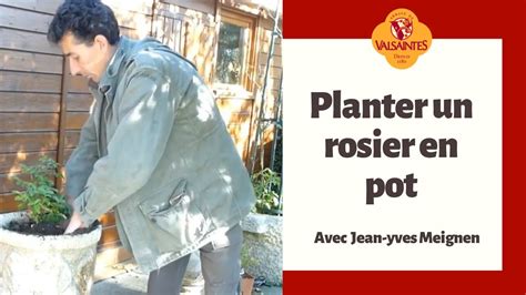 Pour bien cultiver le rosier en pot, vous devez choisir le contenant le plus adapté. Planter un rosier en pot avec Jean-Yves Meignen - YouTube