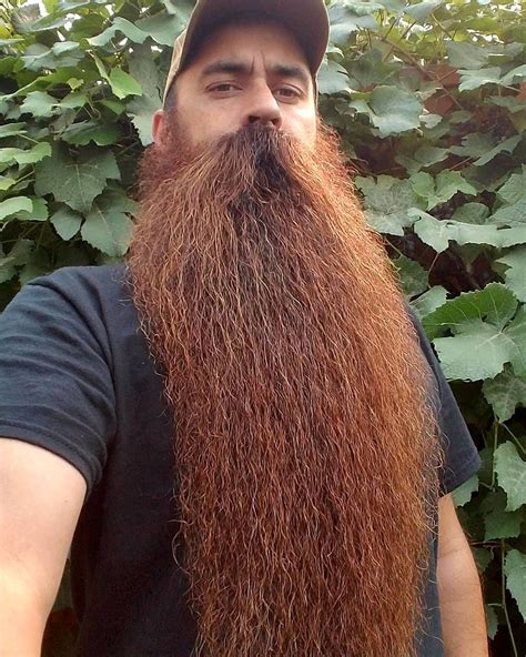 Thebeardapostle Com Long Beard Styles Beard Styles Long Beards