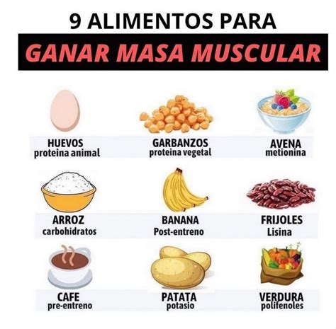 Alimentos Para Aumentar Masa Muscular Alimentos Aumentar Masa