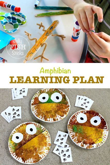 Amphibian Lesson Plans Elementary