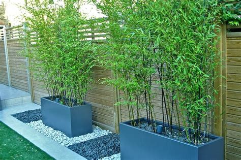 With an exotic look, bamboo is becoming more and more popular for home decoration. DIY Outdoor Screens and Backyard Privacy Ideas | Backyard ...