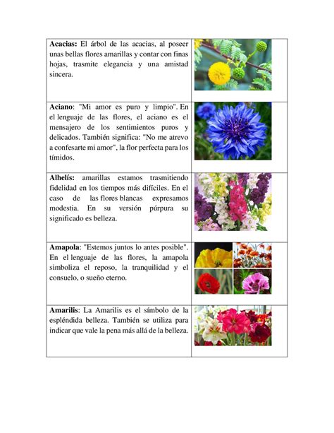 Top 172 Distintas Flores Y Su Significado Anmbmx