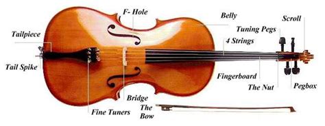 Learn about the different parts of a song and receive 10% off fender gear. cello