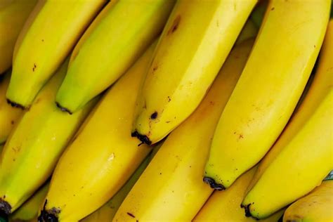 Are Bananas Becoming Extinct Banana Plantations Facts You Should Know
