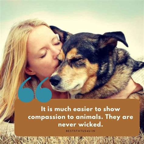 50 Best Animal Lover Quotes That Touch Your Heart Status For Animals