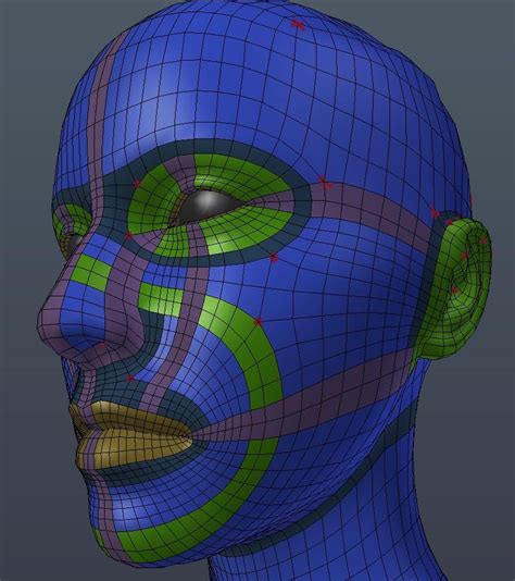 my facial re topology — perhaps useful reference image r blender