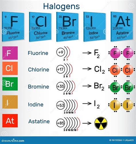 Halogênios Elementos Químicos Da Tabela Periódica Ilustração Do Vetor