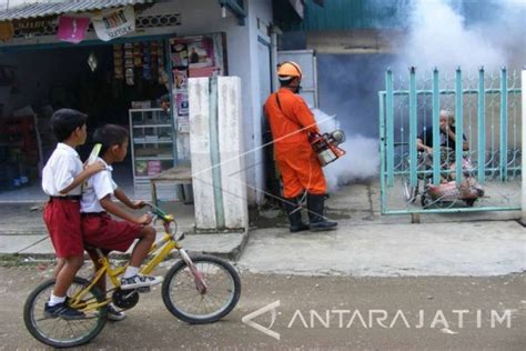 Satu Penderita Dbd Di Bojonegoro Meninggal Dunia Antara News Jawa Timur