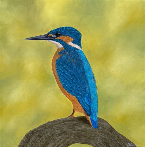 Kingfisher Original Oil Painting On Stretched Canvas Art Etsy