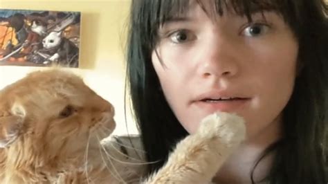 this shy rescue cat really loves her new owner videos viralcats at viralcats
