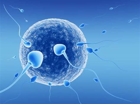 ivf safe method of conception for those with infertility or evolutionary experiment genetic
