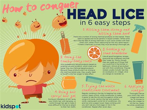 All About Head Lice Kidspot