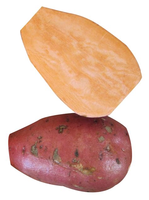 Yam PNG Image - PurePNG | Free transparent CC0 PNG Image Library